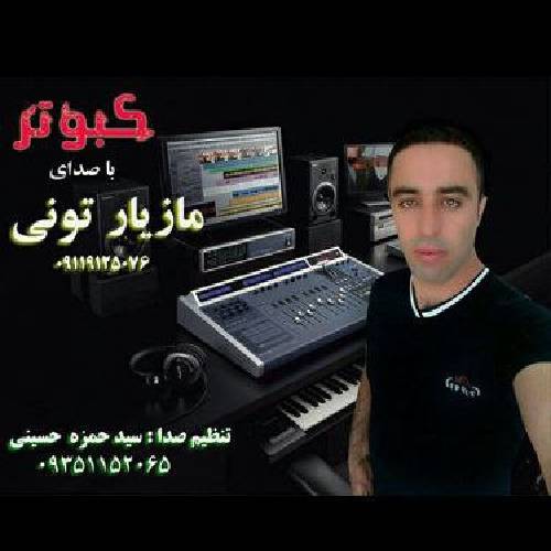 مازیار تونی  کبوتر 